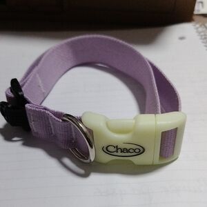 Chaco Light Purple Dog Collar